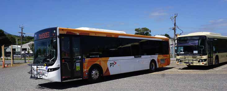 McKenzies Mercedes O500LE Volgren Optimus 63